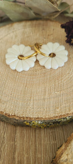 Primerose blanche nacrée