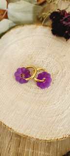 Nolia violet