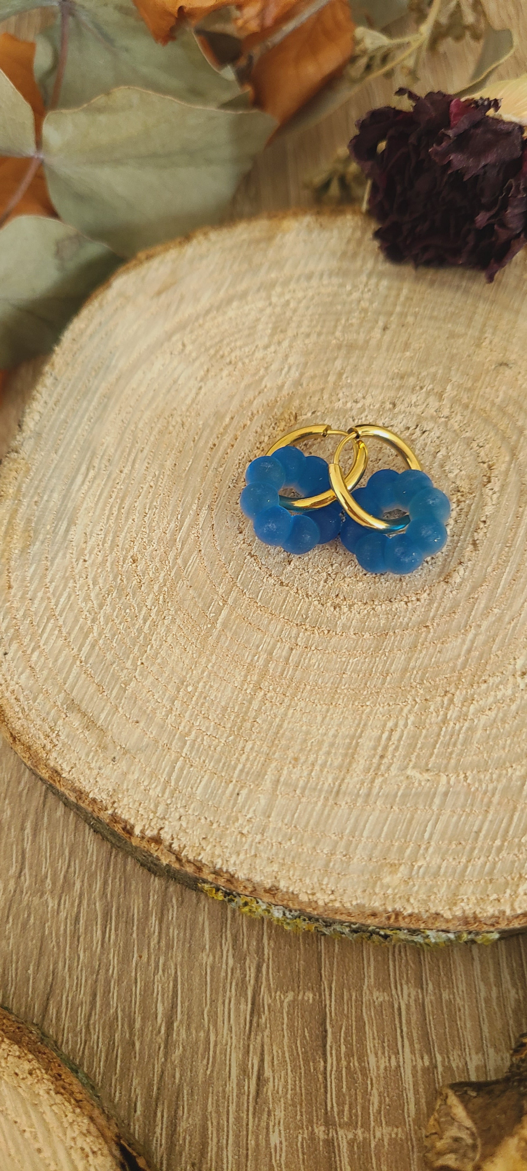 Nolia bleu
