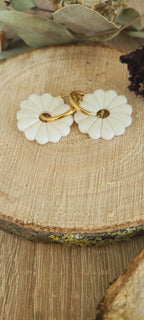 Primerose blanche nacrée