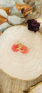 Nolia rouge
