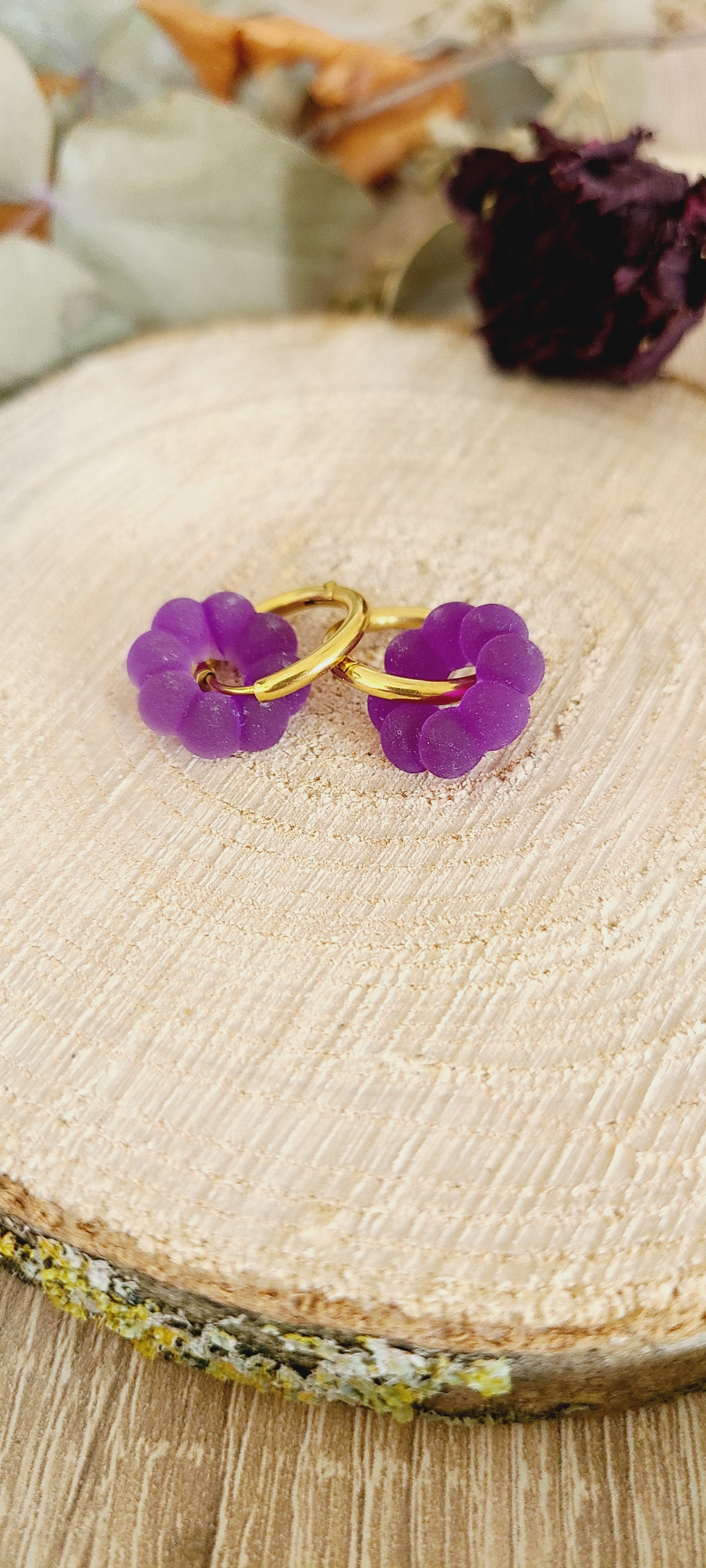 Nolia violet