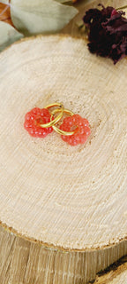 Nolia rouge