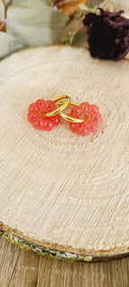 Nolia rouge